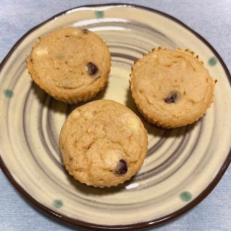 Cottage Cheese Raisins Muffin