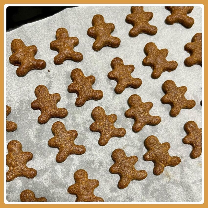 *Protein Bar* Gingerbread Man Cookie