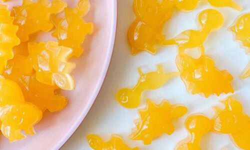 Homemade Fruit Gummies