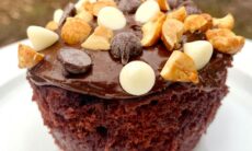 1 Min Chocolate Protein Cupcake
