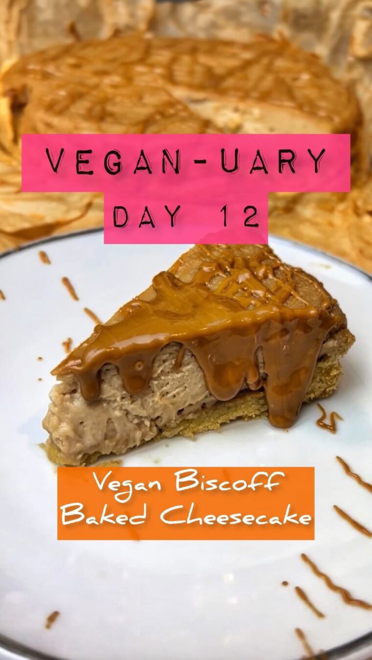 Biscoff Vegan Cheesecake