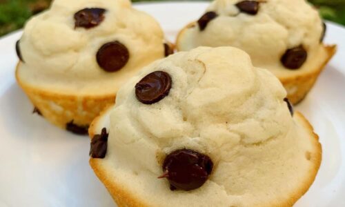 Chocolate Chip Protein Little Bites