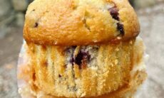 Vegan Blueberry Yogurt Oat Muffins