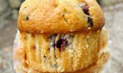 Vegan Blueberry Yogurt Oat Muffins