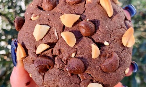 Vegan Single Serve Protein Monster Cookie
