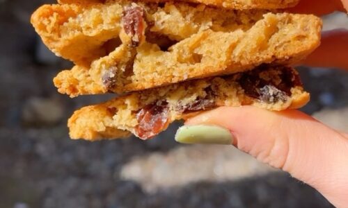 Cranberry Oat Breakfast Cookies