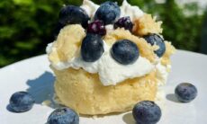 2 Min Vegan Blueberry Protein Shortcake