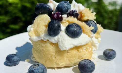 2 Min Vegan Blueberry Protein Shortcake