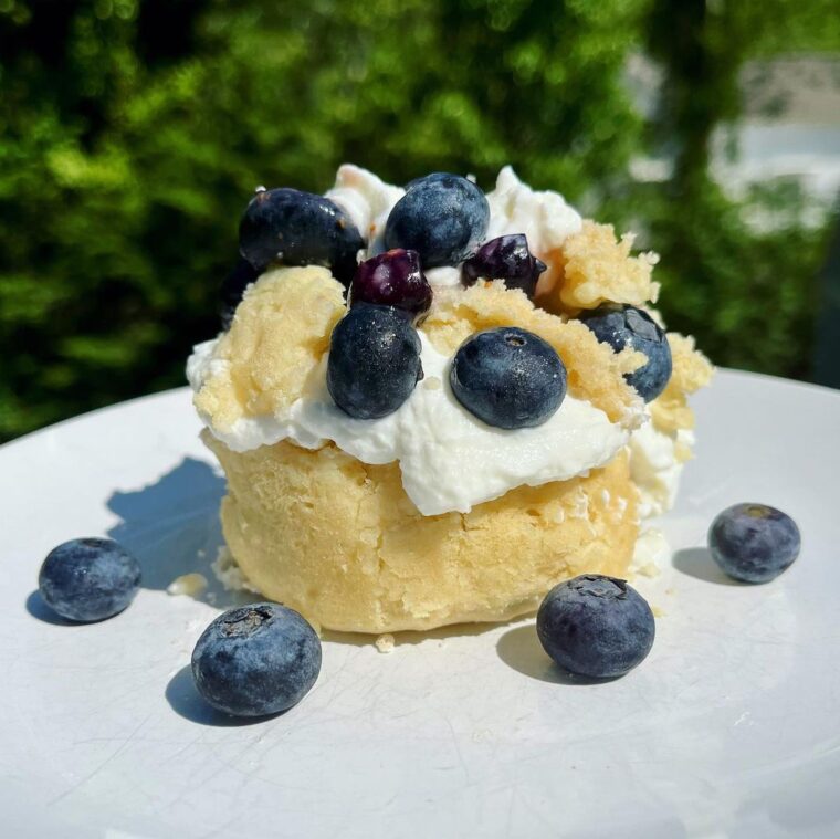 2 Min Vegan Blueberry Protein Shortcake
