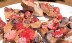 Dairy-free Chocolate Raspberry Froyo Bark
