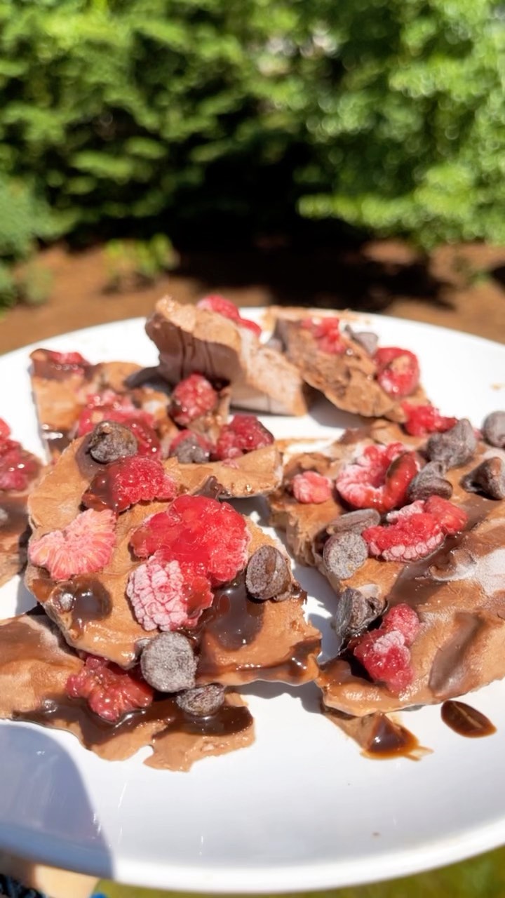 Dairy-free Chocolate Raspberry Froyo Bark