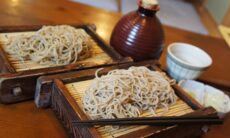 10 Most Common Japanese Soba Noodles