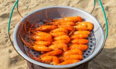 The Top 10 Thai Shrimp Dishes