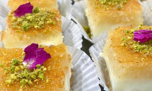 Hrisi Bi Ashta