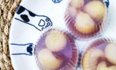 Blue Pea Longan & Coconut Agar Jelly