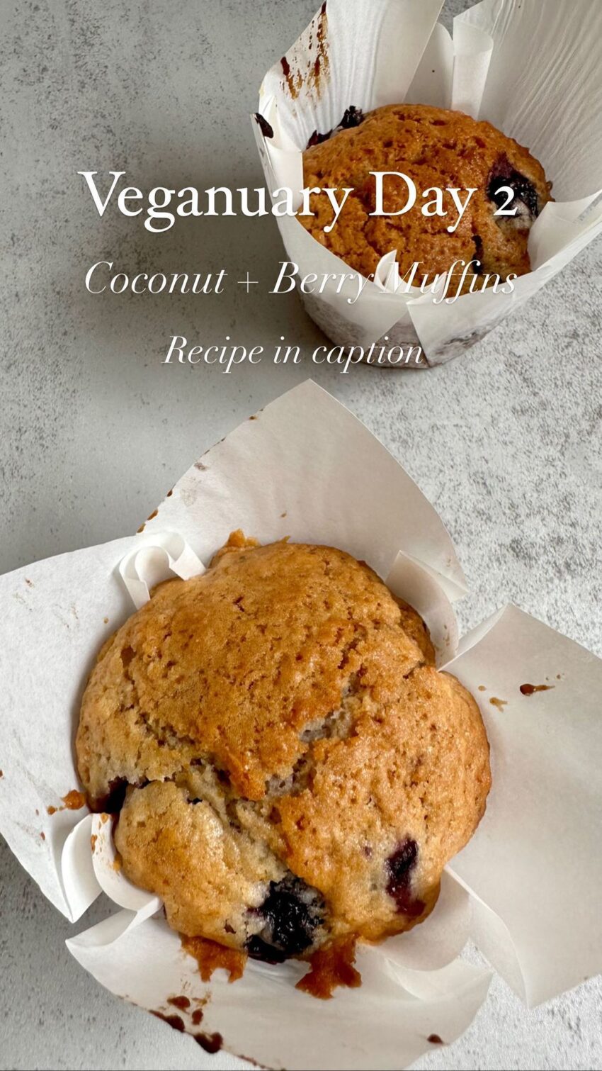 Vegan Coconut And Berry Muffins