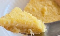 Hongkong Style Coconut Tart