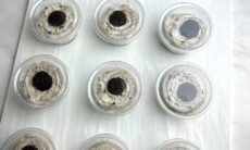Oreo Dessert Cups