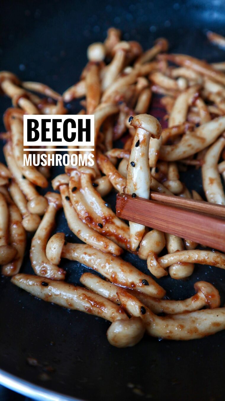 Soy Beech Mushrooms