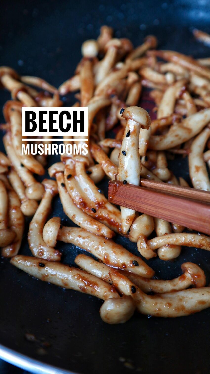 Soy Beech Mushrooms