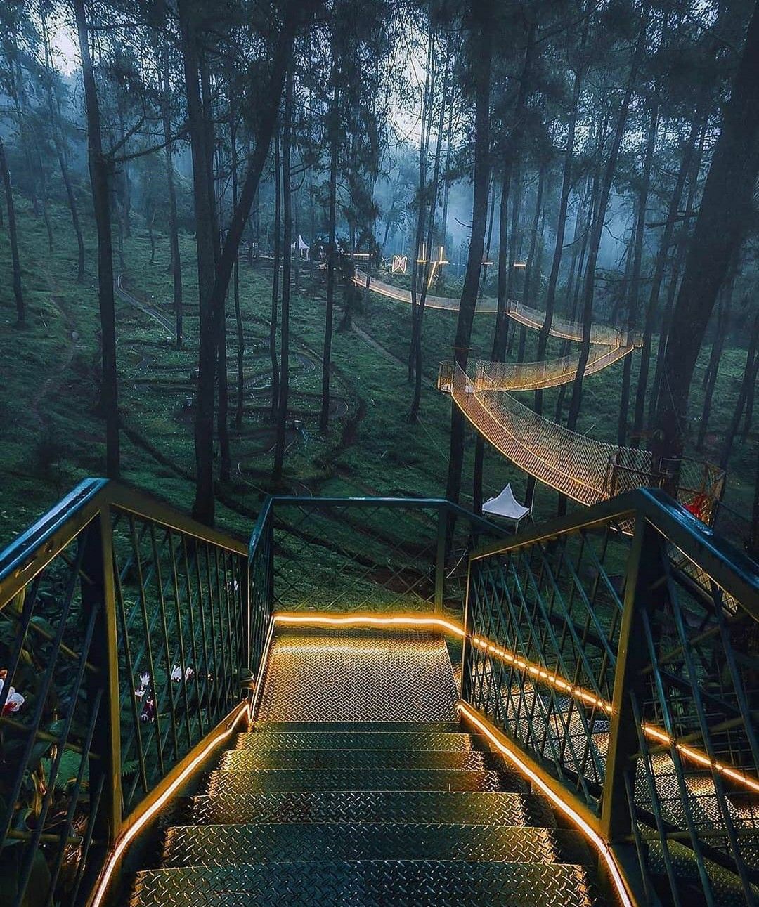 Java Island - Orchid Forest Cikole