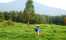 The 5 Best Places To Visit In Java Island, Indonesia!