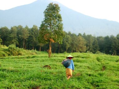 The 5 Best Places To Visit In Java Island, Indonesia!