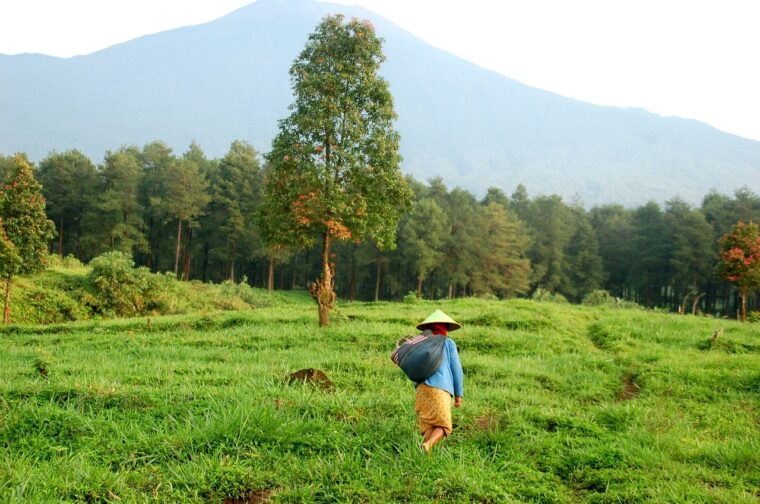 The 5 Best Places To Visit In Java Island, Indonesia!