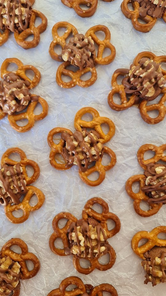 Pretzel Turtles