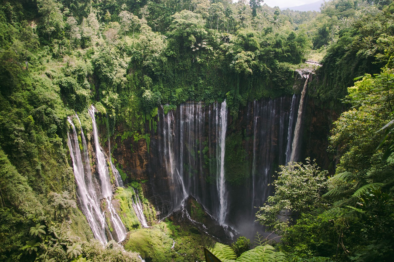 Java Island