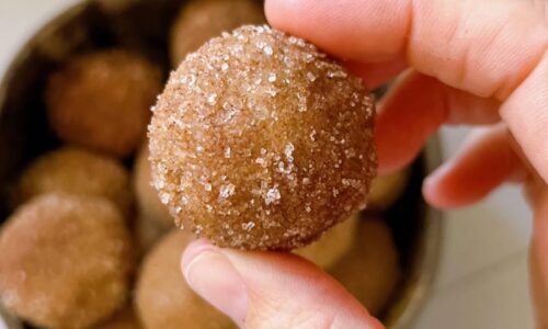 Snickerdoodle Protein Balls