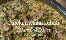 Chicken Malai Kebab